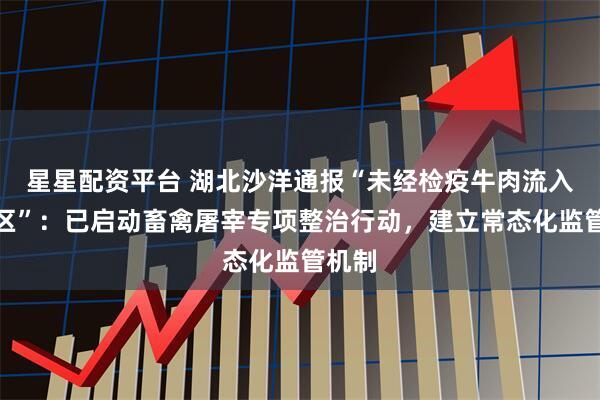 星星配资平台 湖北沙洋通报“未经检疫牛肉流入沙市区”：已启动畜禽屠宰专项整治行动，建立常态化监管机制