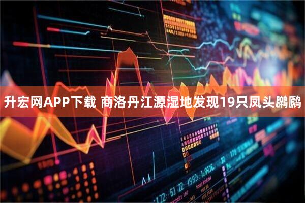 升宏网APP下载 商洛丹江源湿地发现19只凤头䴙䴘