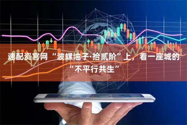 速配资官网 “波螺油子·拾贰阶”上，看一座城的“不平行共生”